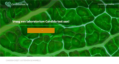Desktop Screenshot of candidadieet.nl